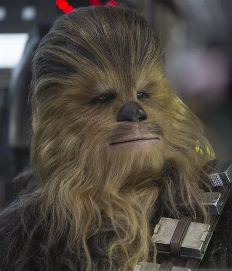 wookieepdia|wookieepedia wiki.